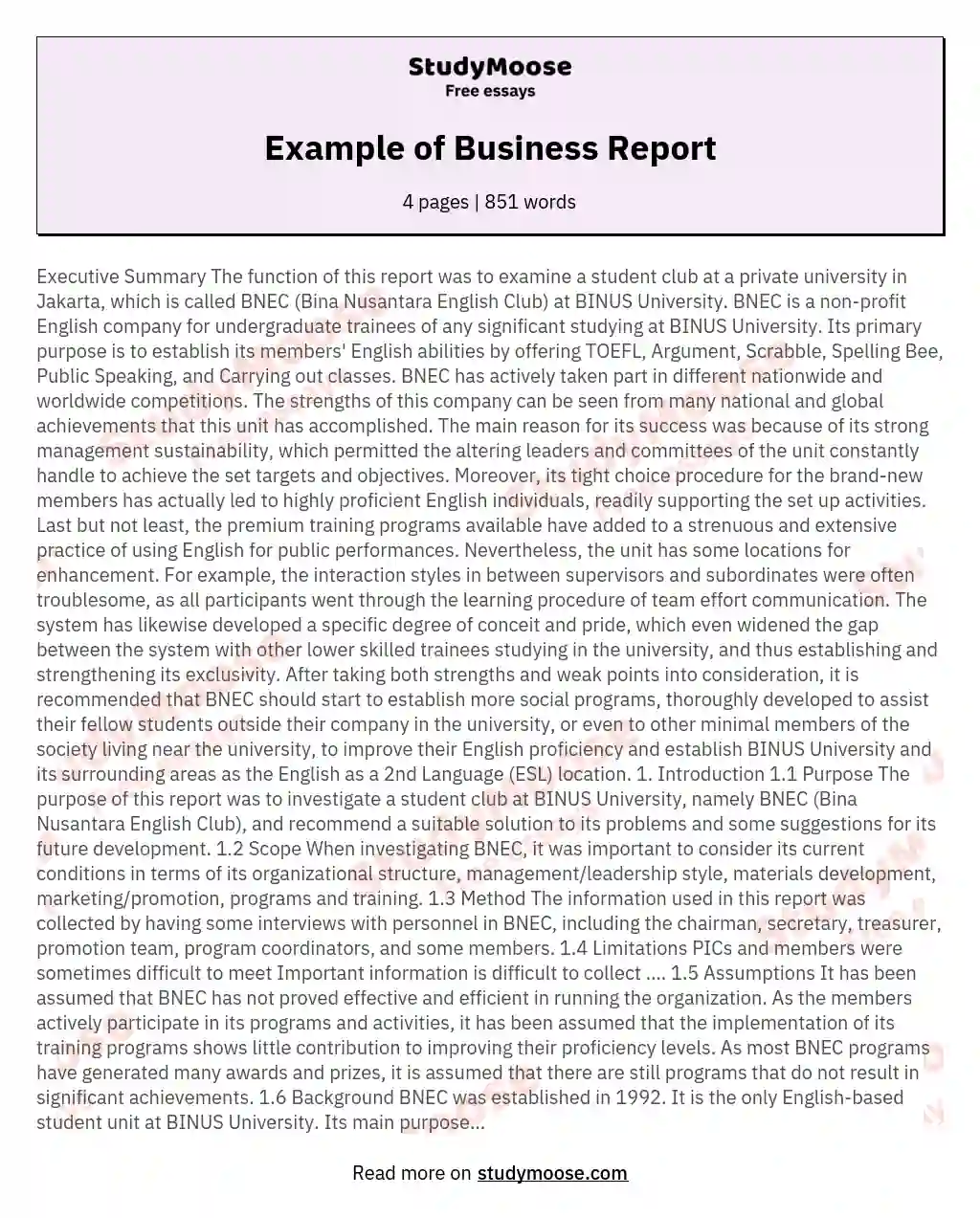 Example Of Business Report Free Essay Sample