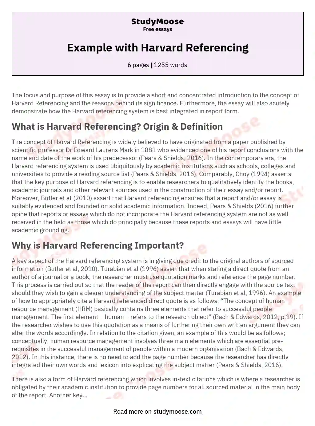 Example with Harvard Referencing essay