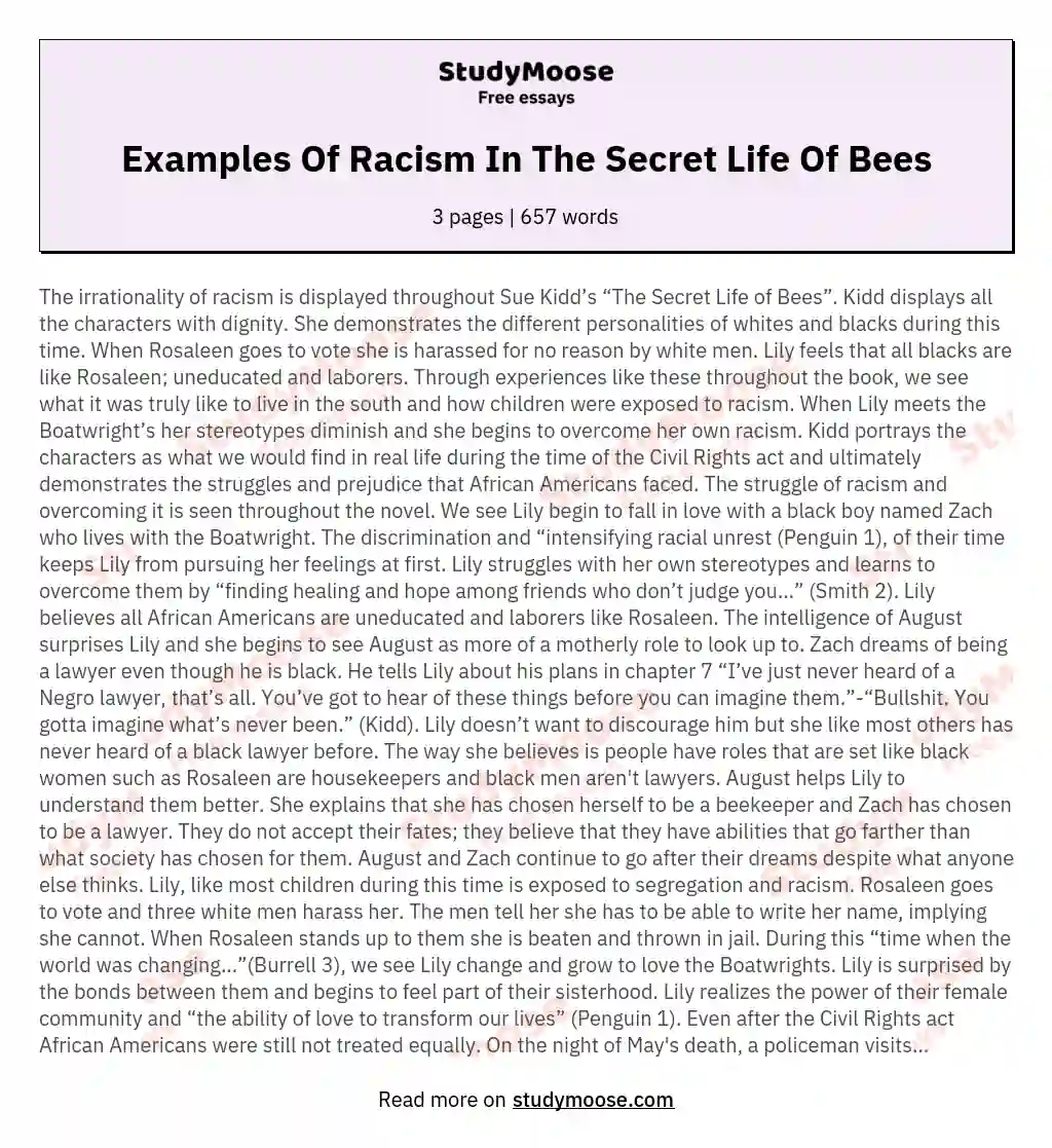 Examples Of Racism In The Secret Life Of Bees