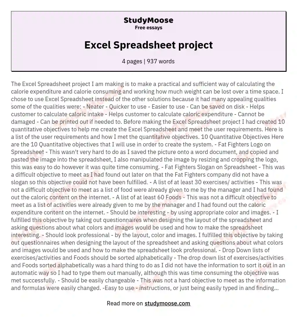 Excel Spreadsheet project essay