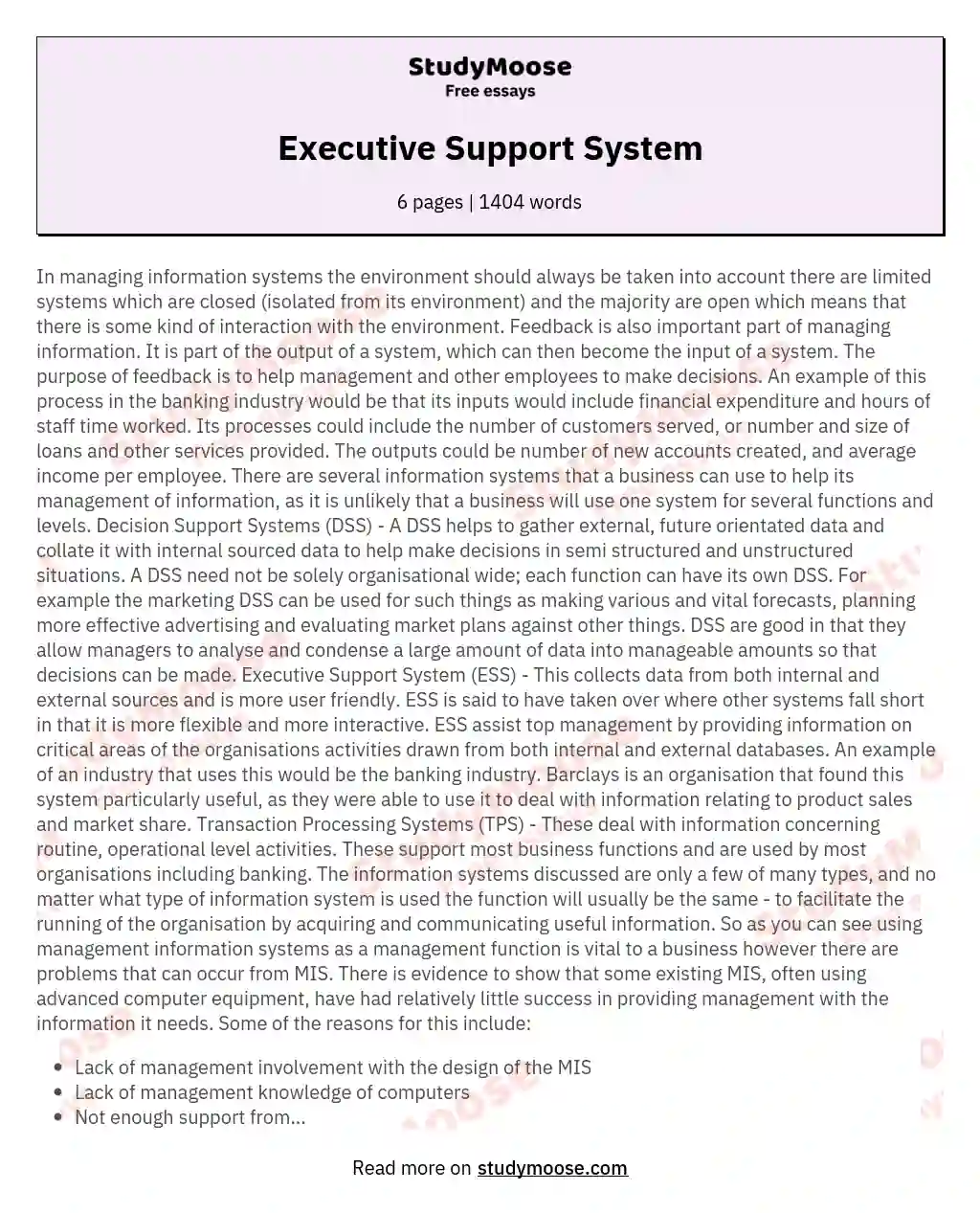 Executive Support System essay