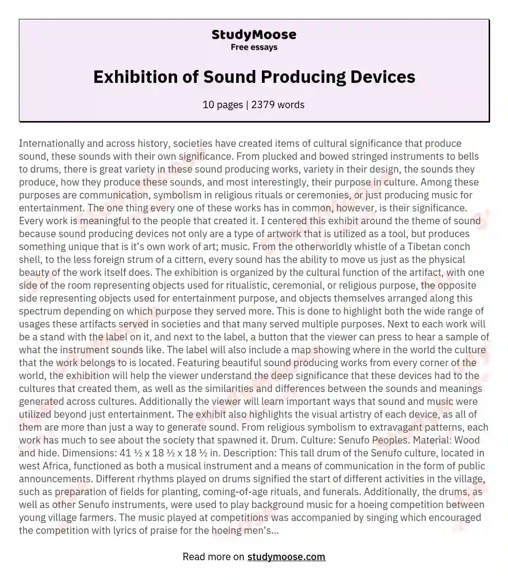 Exhibition of Sound Producing Devices essay