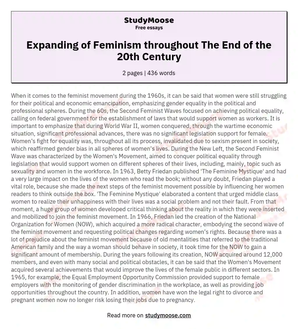 Expanding of Feminism throughout The End of the 20th Century essay