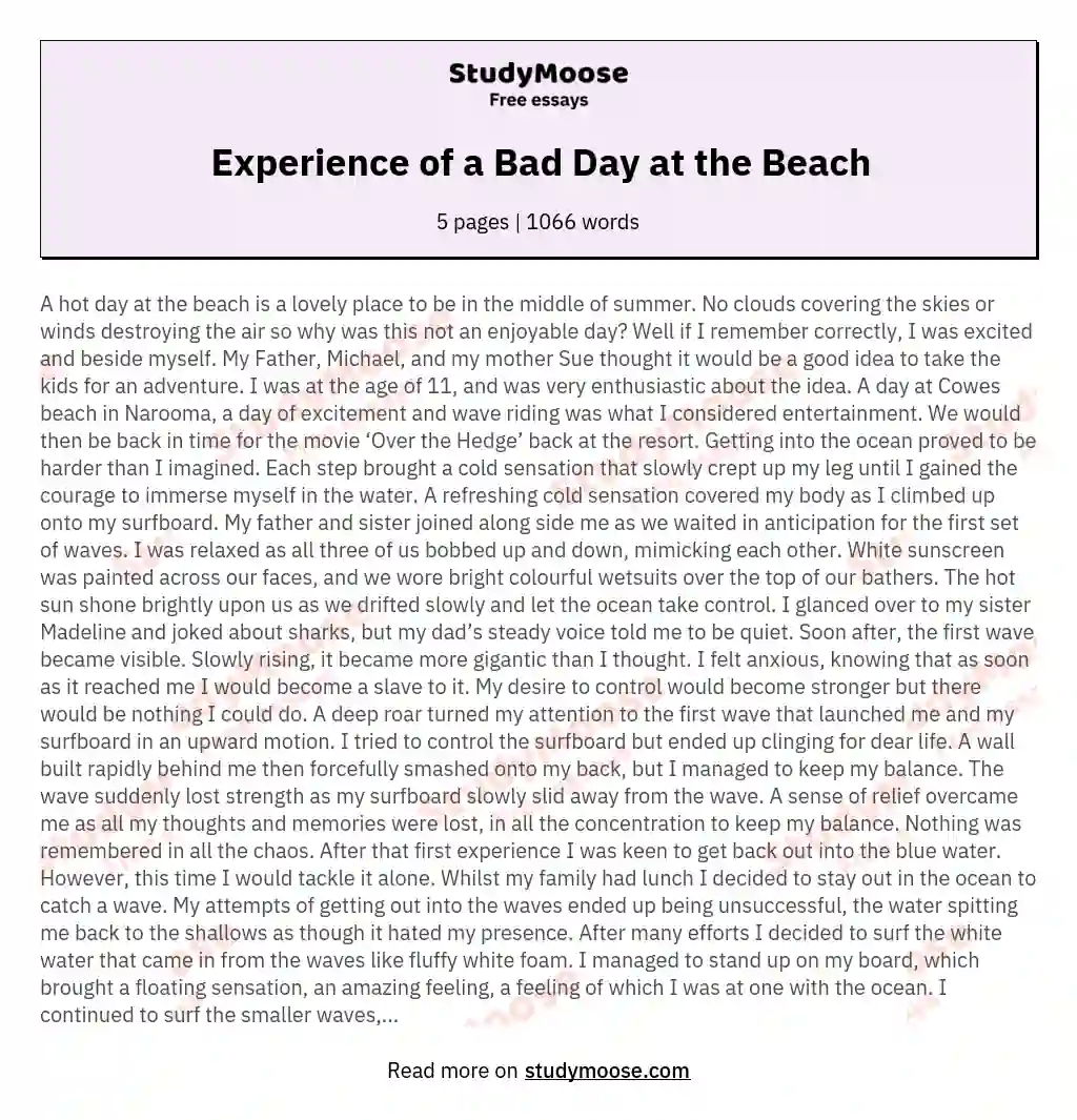 Experience of a Bad Day at the Beach essay