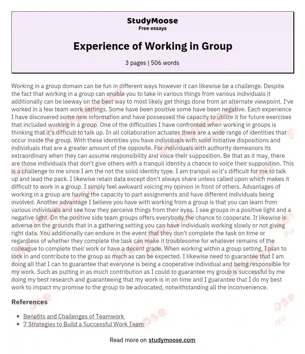 Experience of Working in Group essay