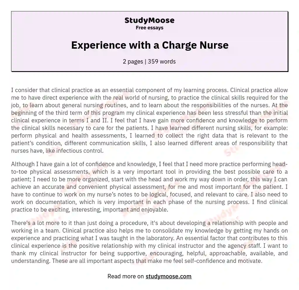 Experience with a Charge Nurse essay