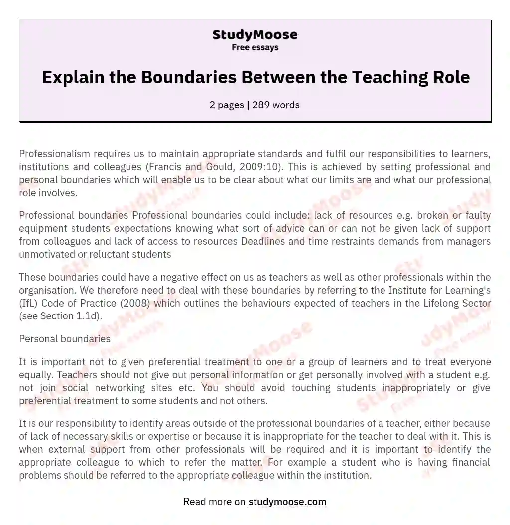 Explain the Boundaries Between the Teaching Role essay