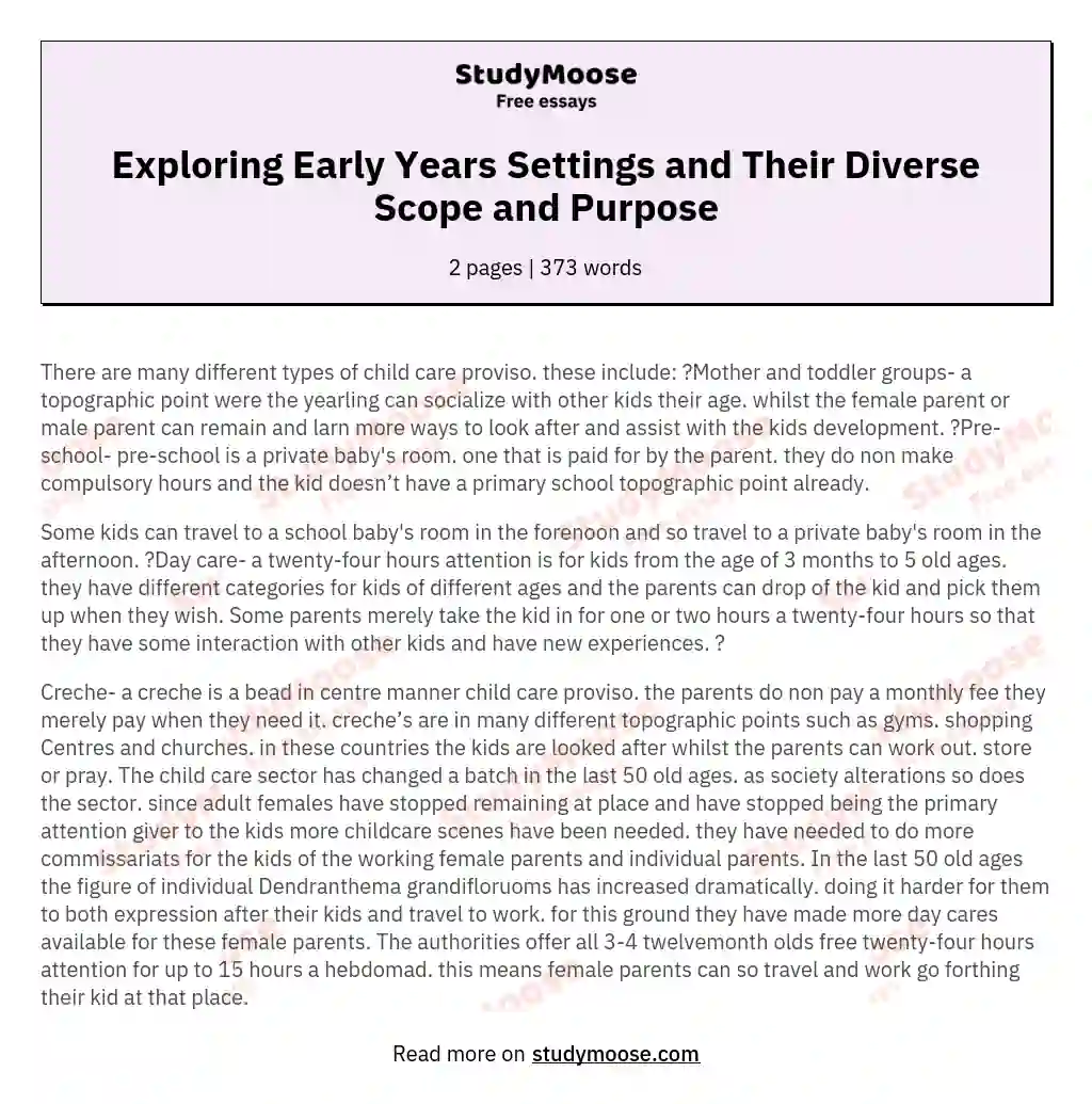 Exploring Early Years Settings and Their Diverse Scope and Purpose essay