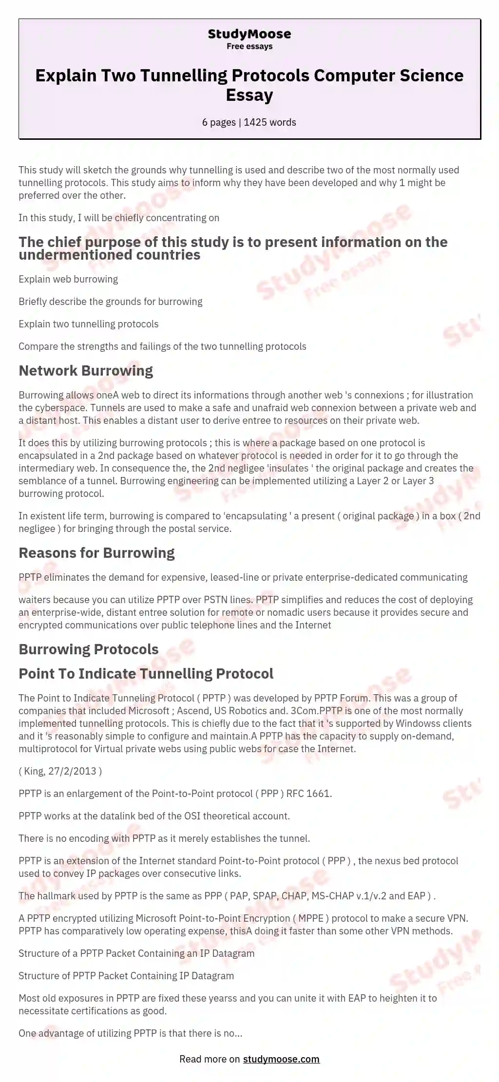 Explain Two Tunnelling Protocols Computer Science Essay Free Essay Example