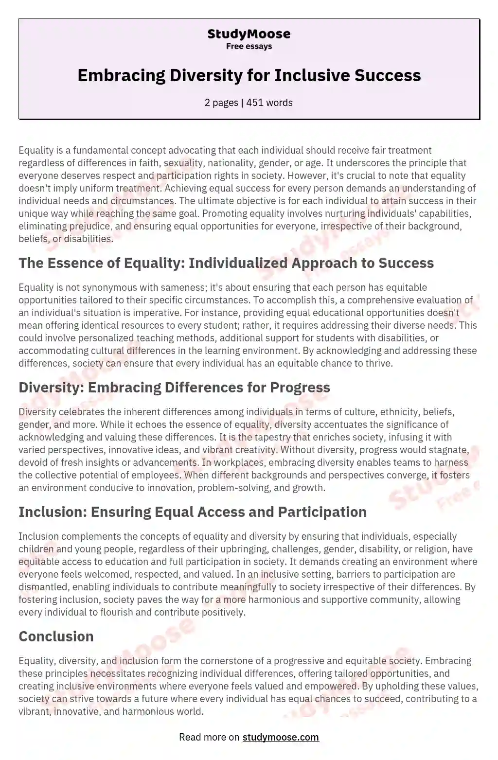 Embracing Diversity for Inclusive Success essay