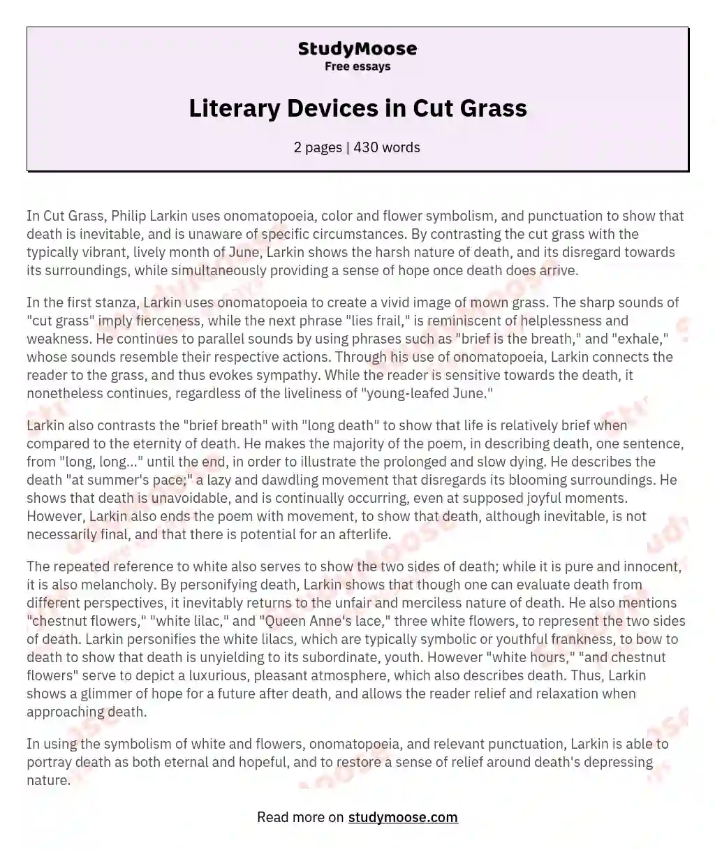 Literary Devices in Cut Grass essay