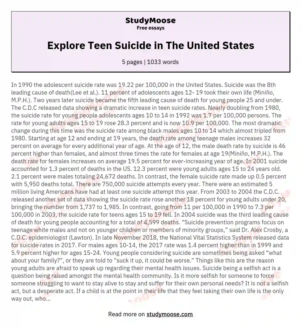 Explore Teen Suicide in The United States essay