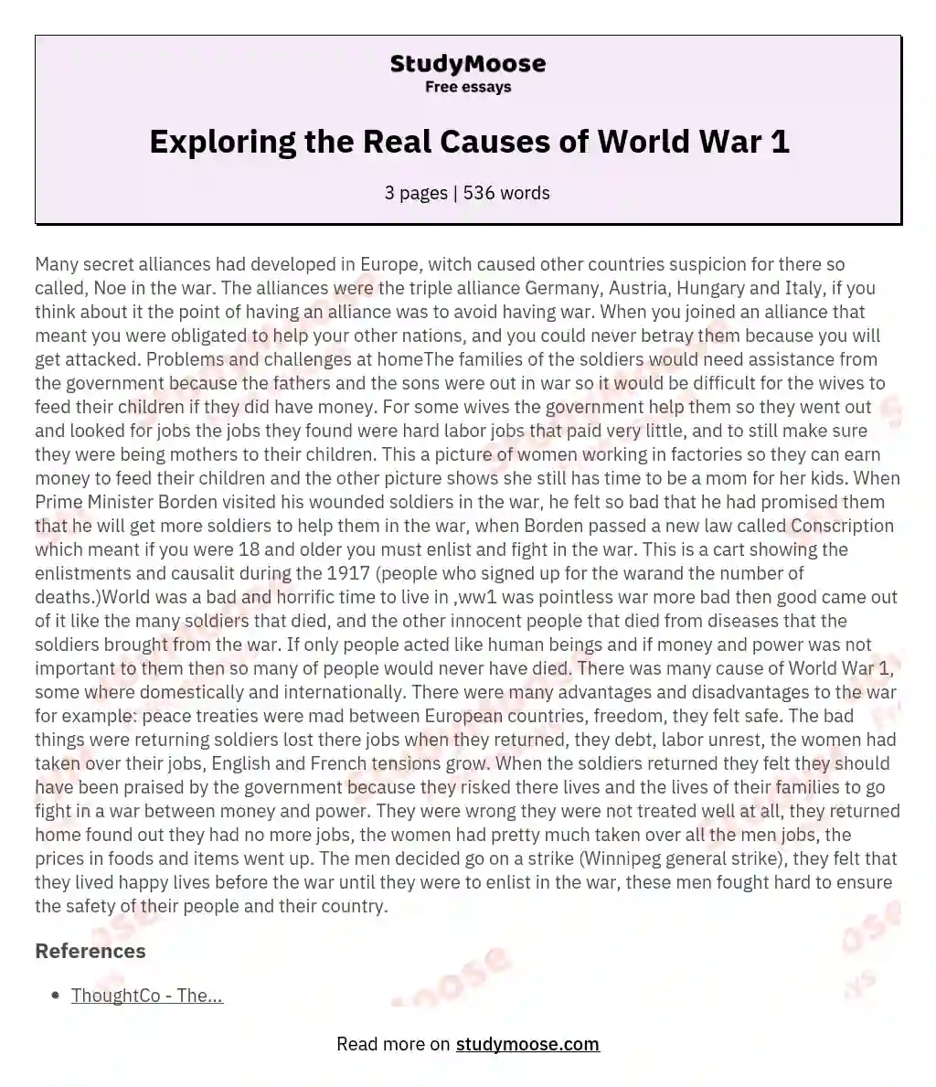 Exploring the Real Causes of World War 1 essay