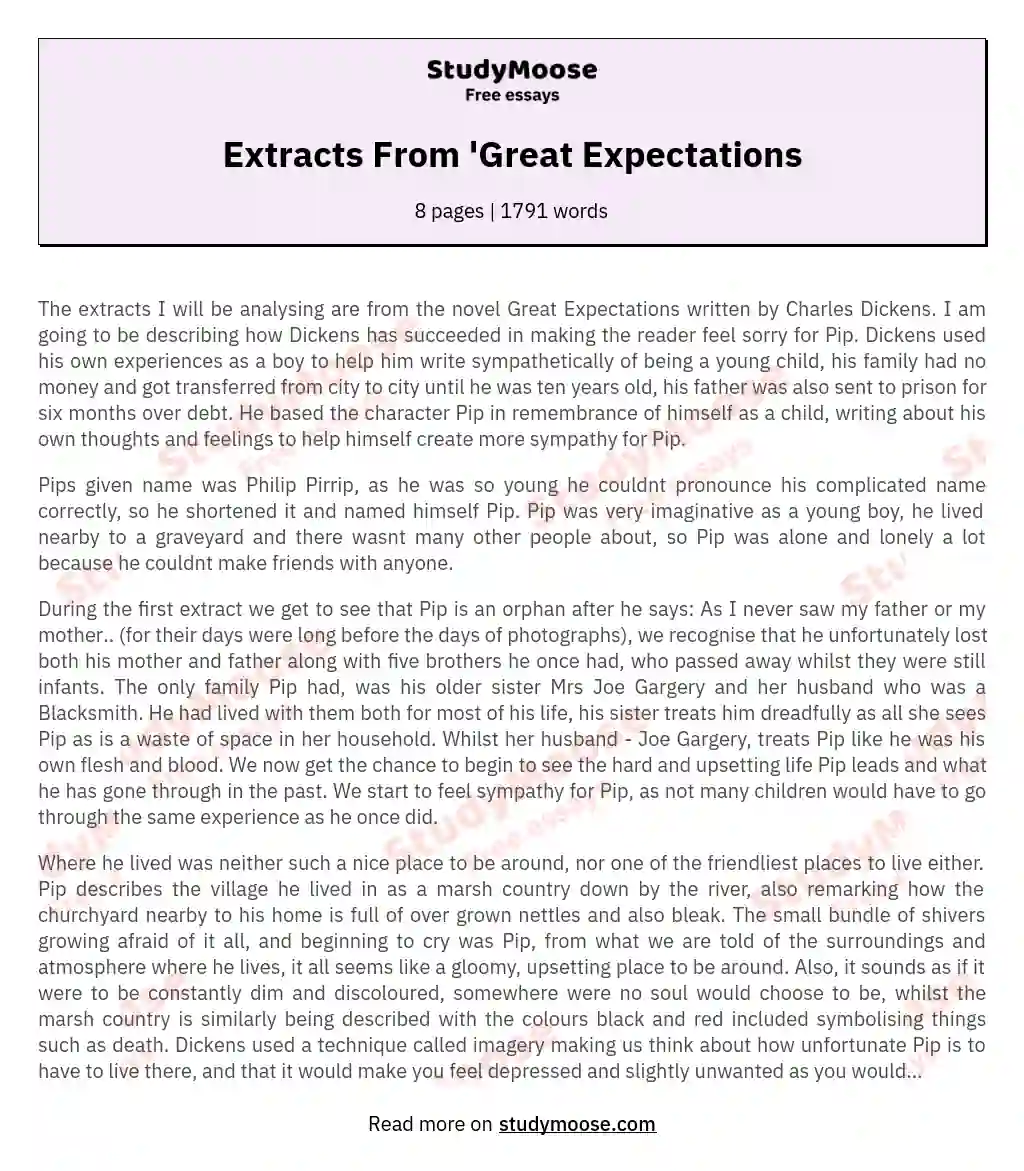 Extracts From 'Great Expectations essay