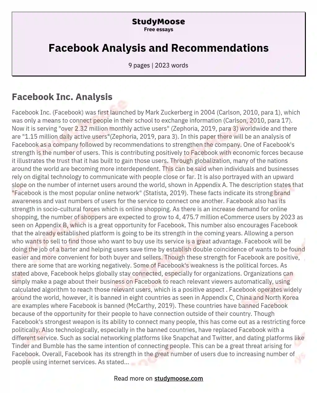 Facebook Analysis and Recommendations essay