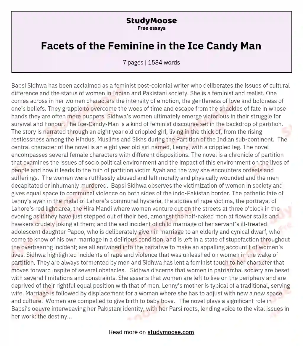 Facets of the Feminine in the Ice Candy Man  essay