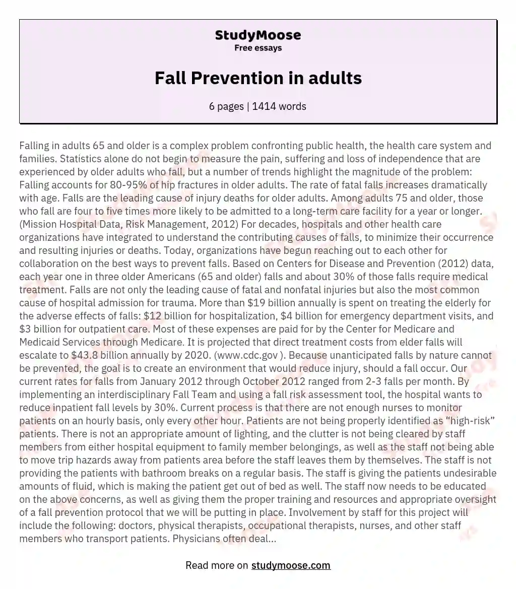 Fall Prevention in adults essay