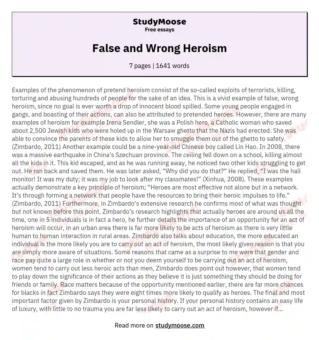 False and Wrong Heroism essay