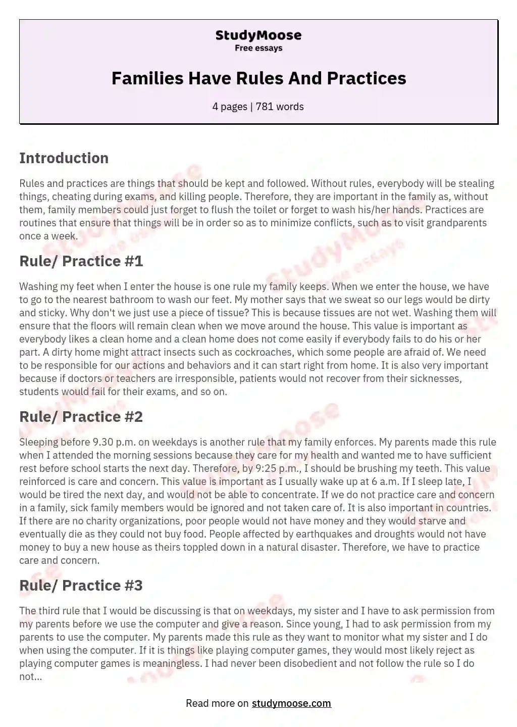 Families Have Rules And Practices essay