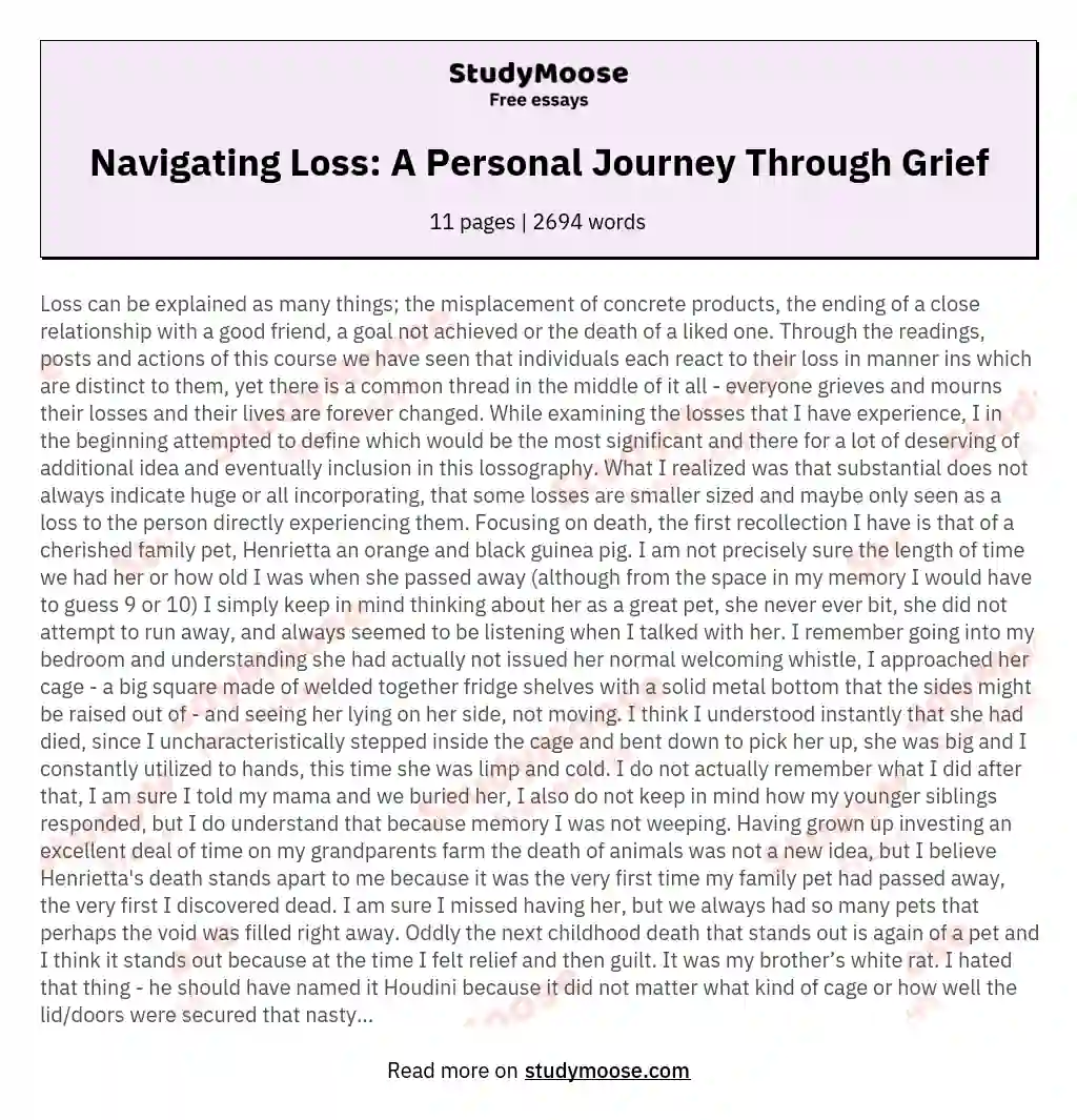 Navigating Loss: A Personal Journey Through Grief essay