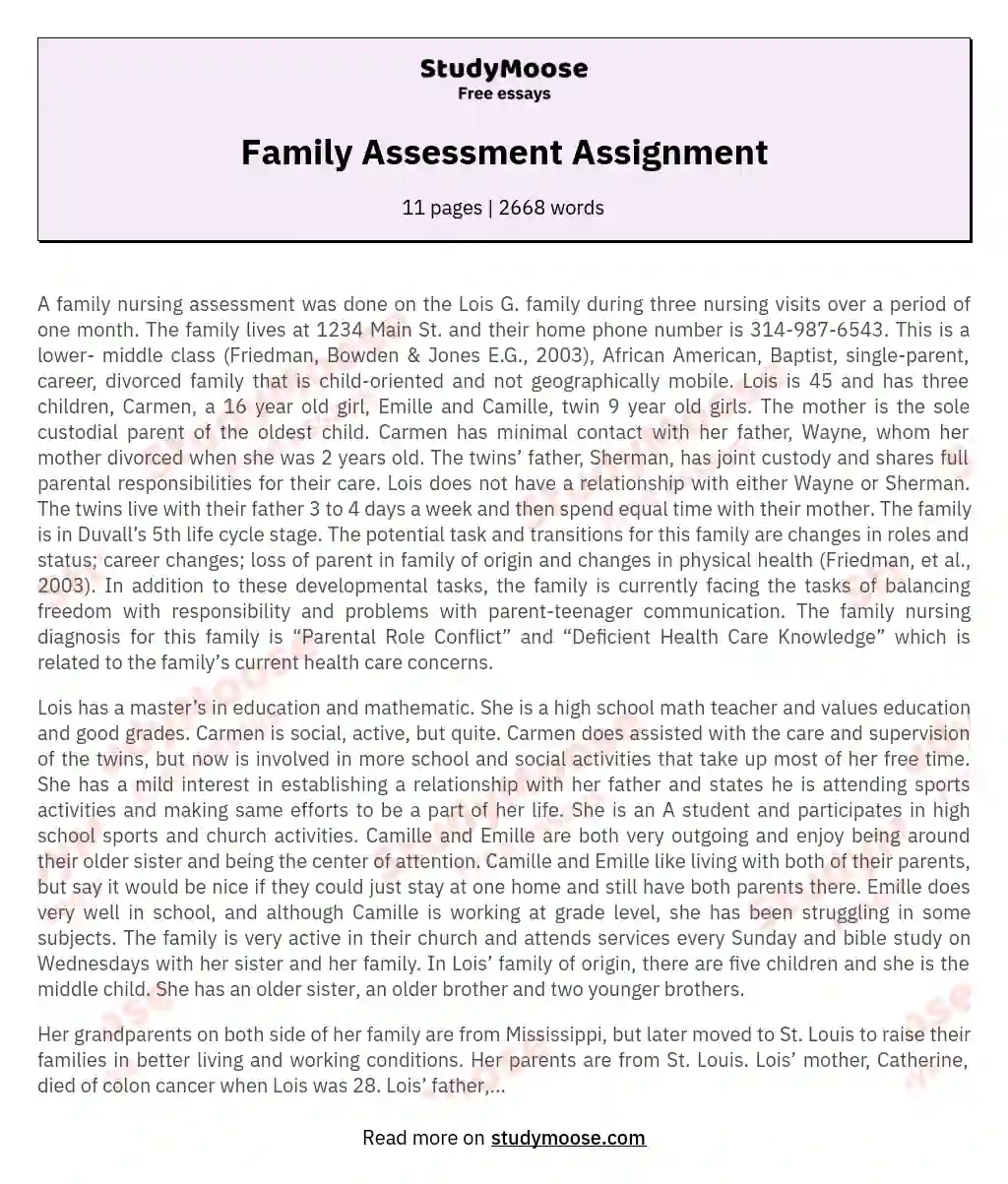 Family Assessment Assignment essay