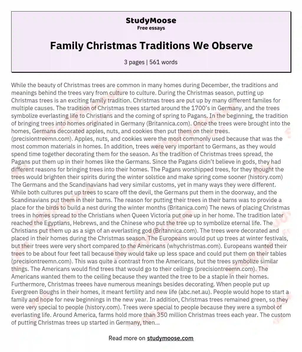Family Christmas Traditions We Observe essay