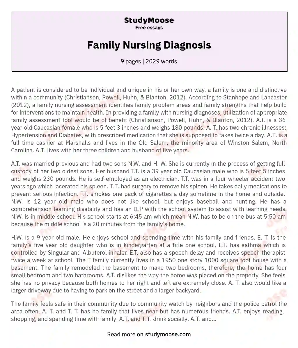 Family Nursing Diagnosis essay