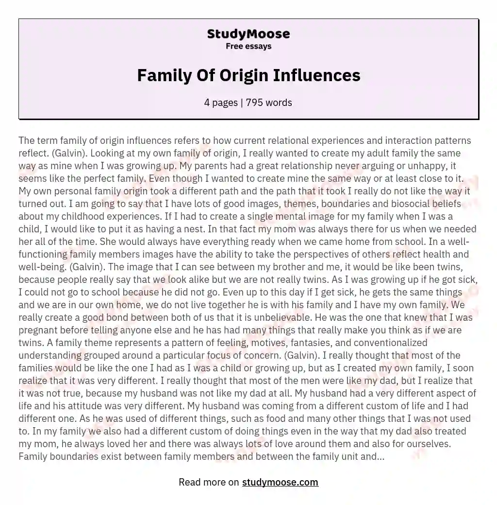 Family Of Origin Influences essay