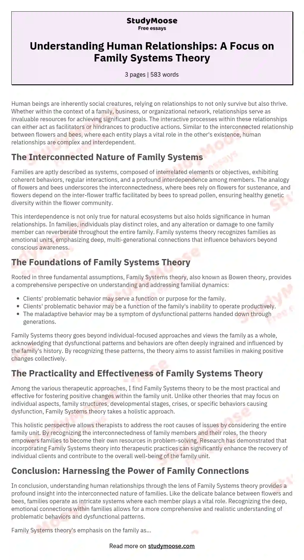Understanding Human Relationships: A Focus on Family Systems Theory essay