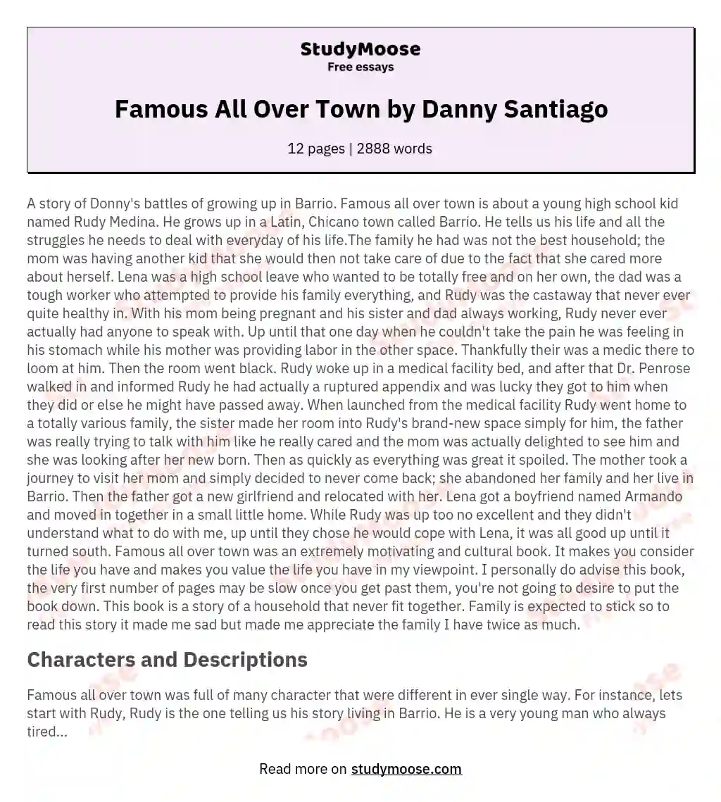 Famous All Over Town by Danny Santiago essay