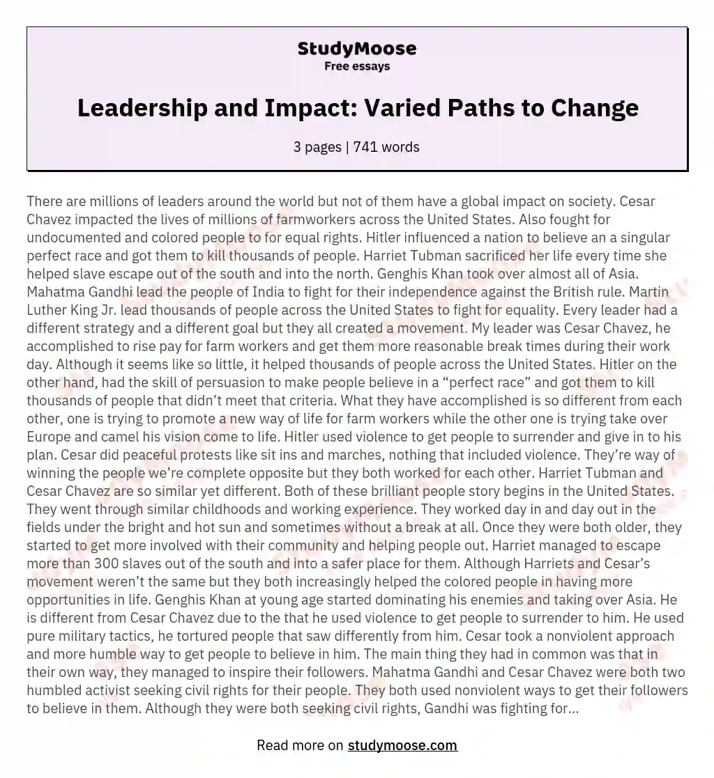 Leadership and Impact: Varied Paths to Change essay