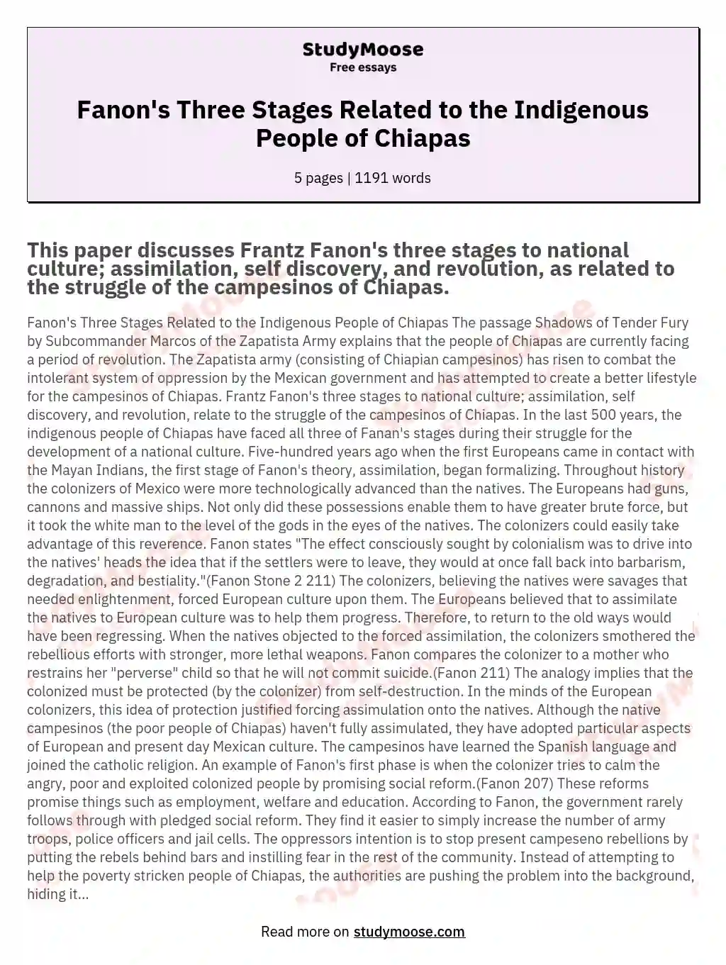 Fanon's Three Stages Related to the Indigenous People of Chiapas essay