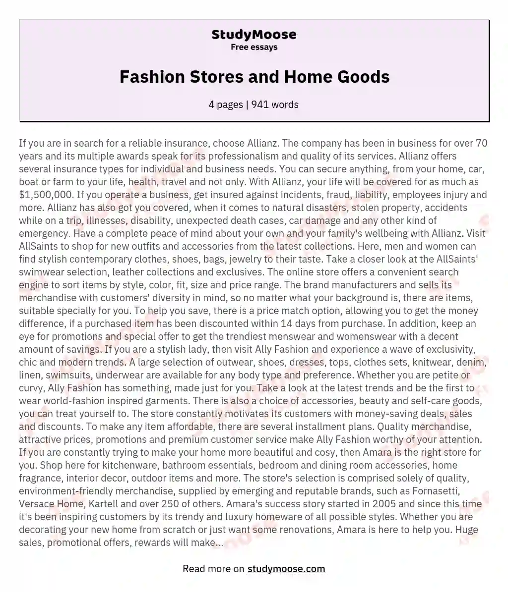 Fashion Stores and Home Goods essay
