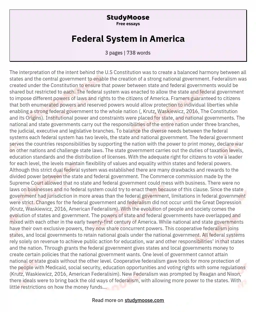 Federal System in America essay