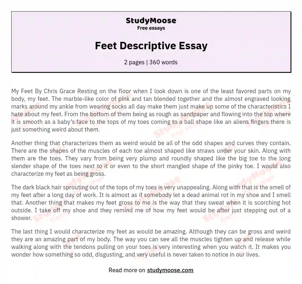 Feet Descriptive Essay essay