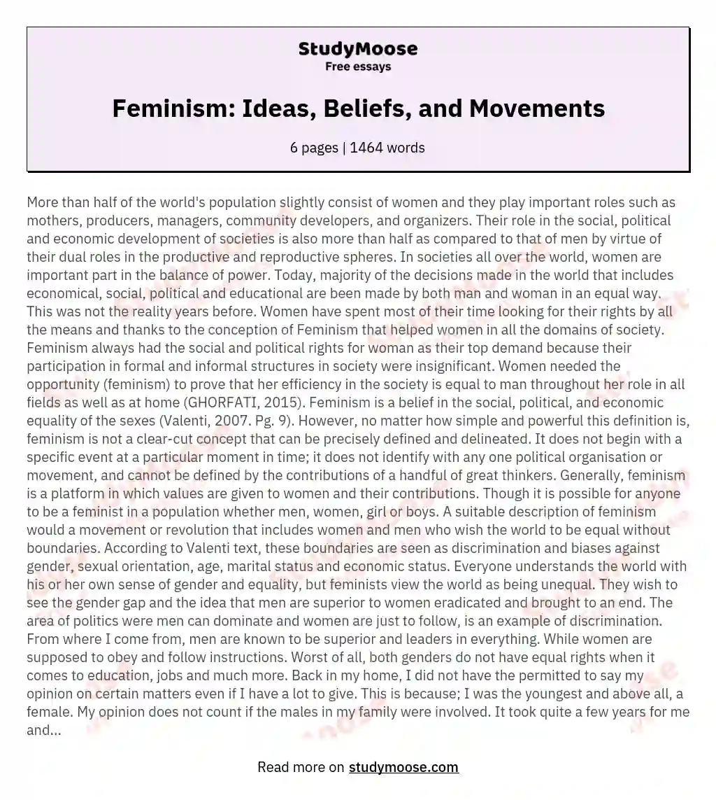 Feminism: Ideas, Beliefs, and Movements essay