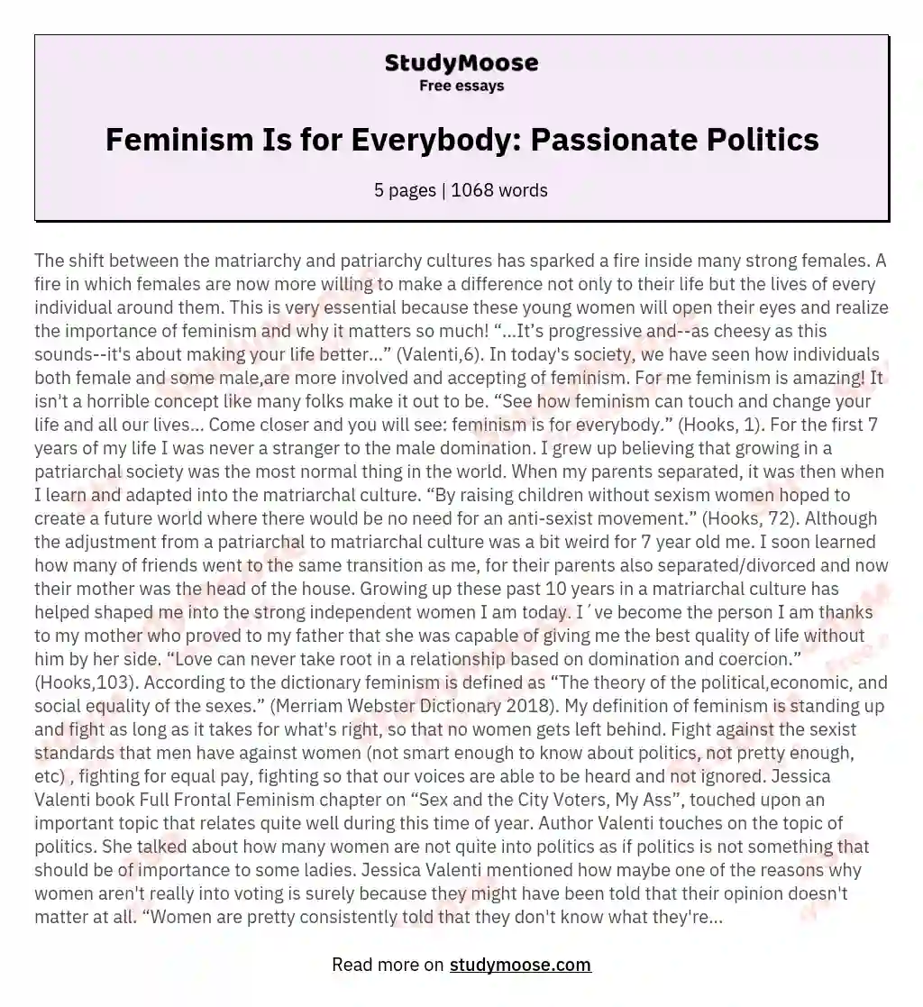 Feminism Is for Everybody: Passionate Politics essay