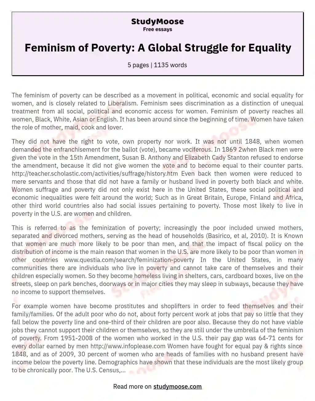 Feminism of Poverty: A Global Struggle for Equality essay