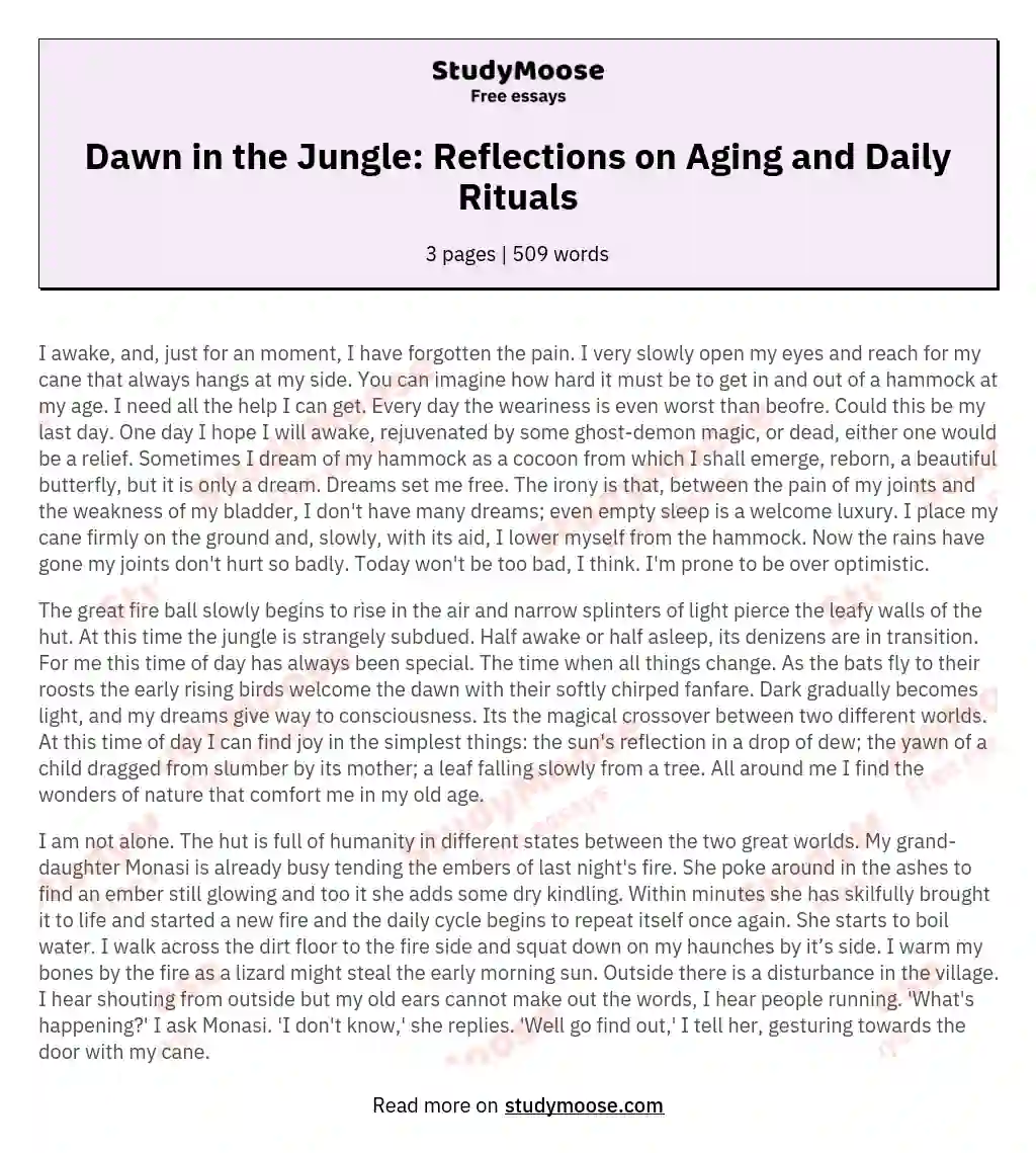 Dawn in the Jungle: Reflections on Aging and Daily Rituals essay