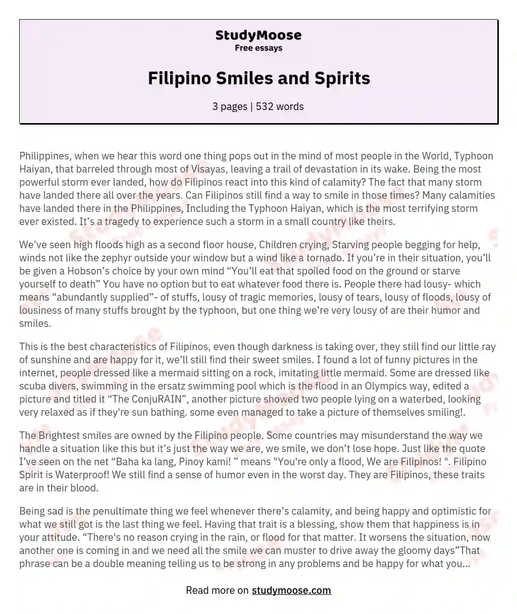 Filipino Smiles and Spirits essay