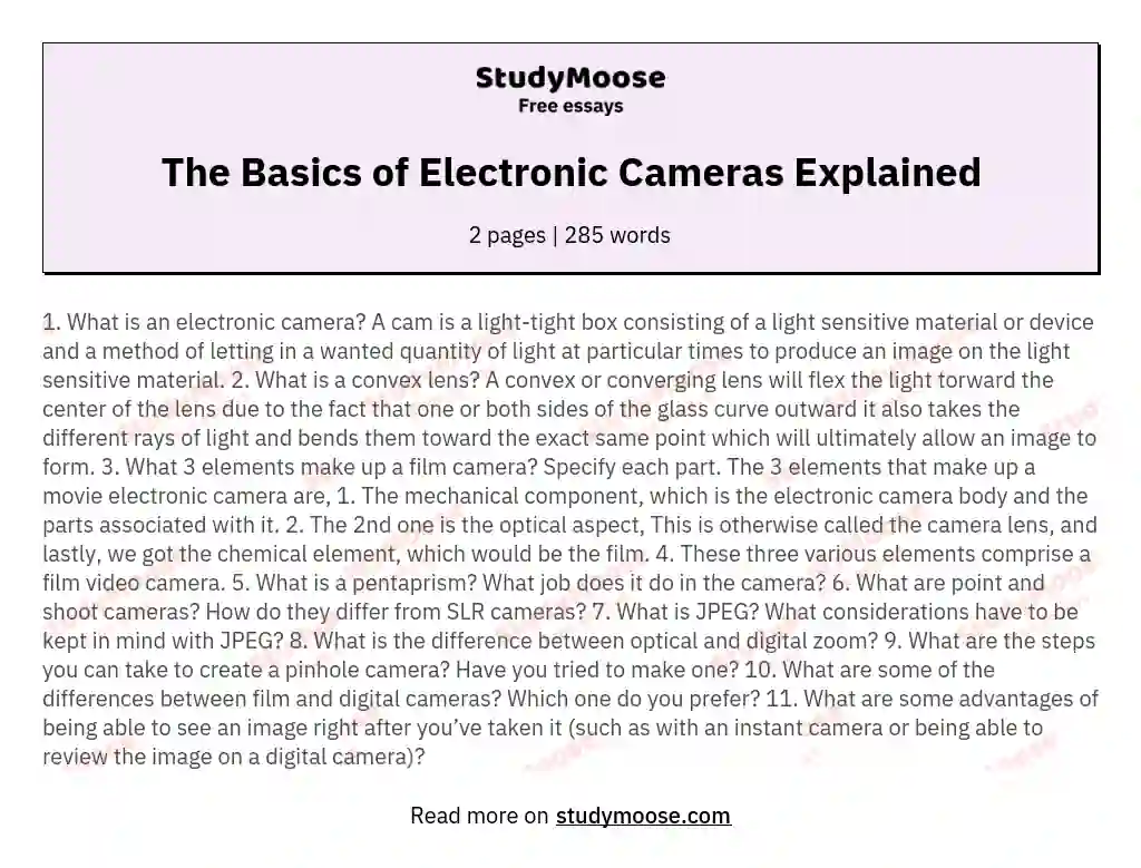 The Basics of Electronic Cameras Explained essay