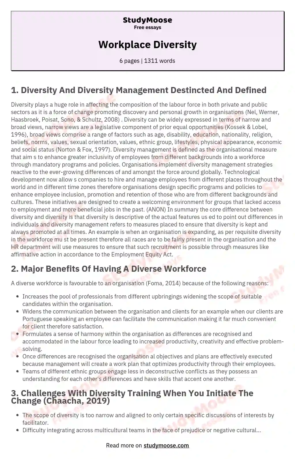 Workplace Diversity essay