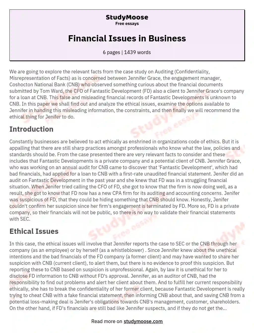 Financial Issues in Business essay