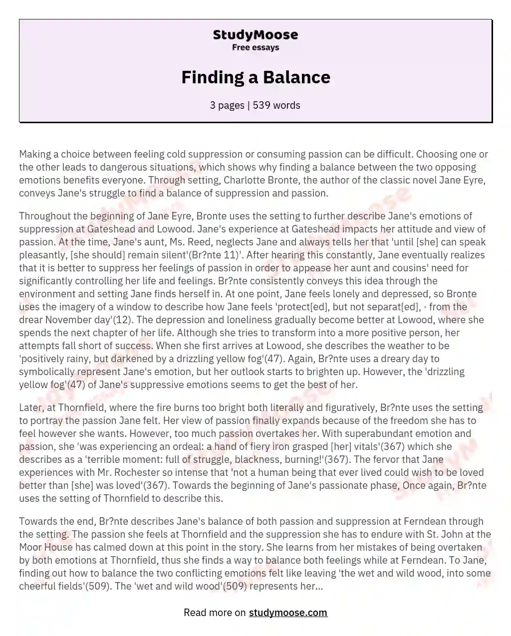 Finding a Balance essay