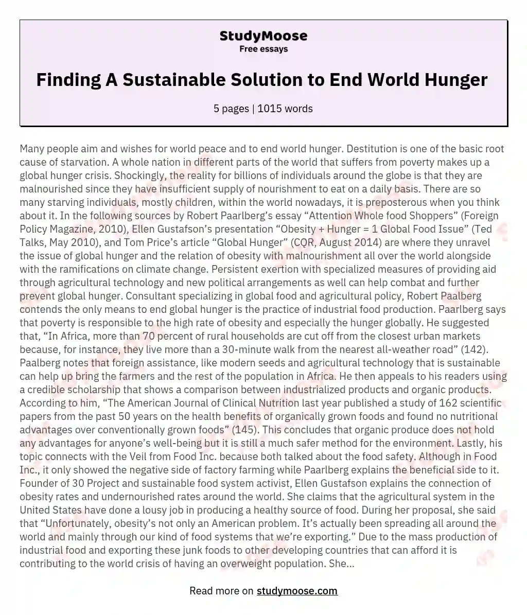 essay on global hunger