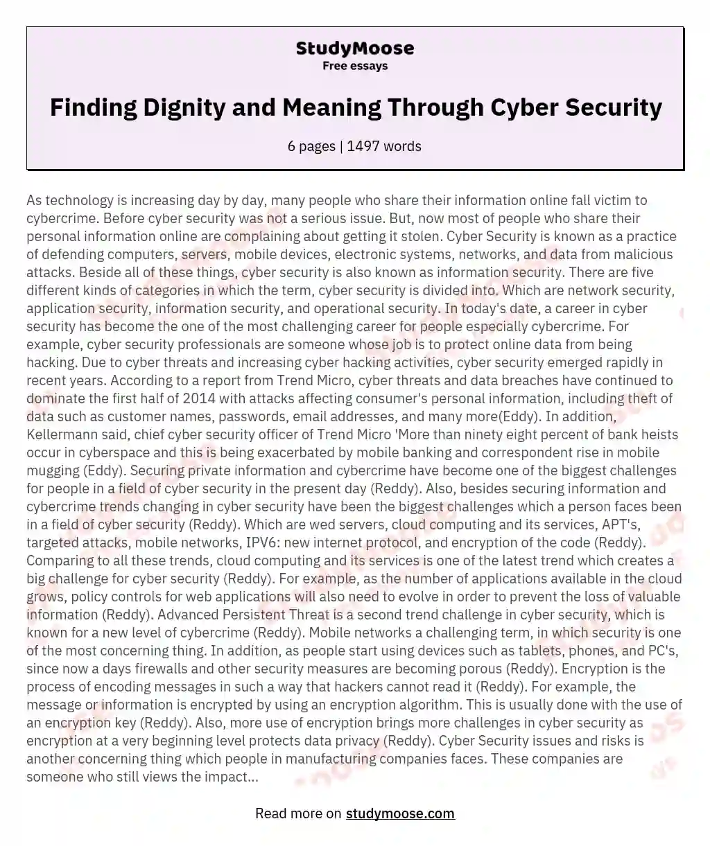 Finding Dignity and Meaning Through Cyber Security essay