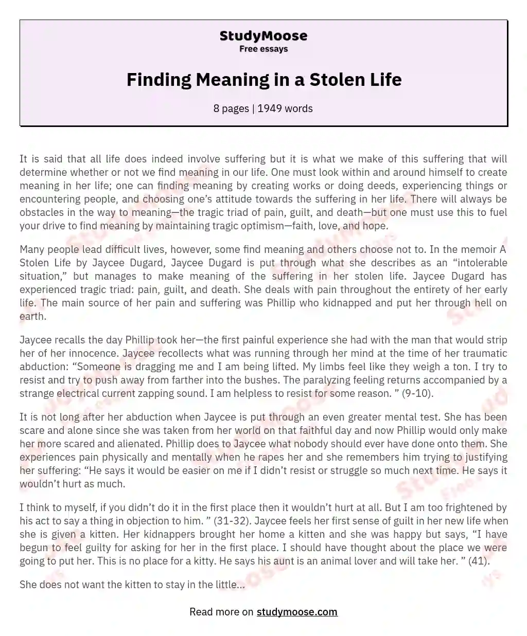 Finding Meaning in a Stolen Life essay