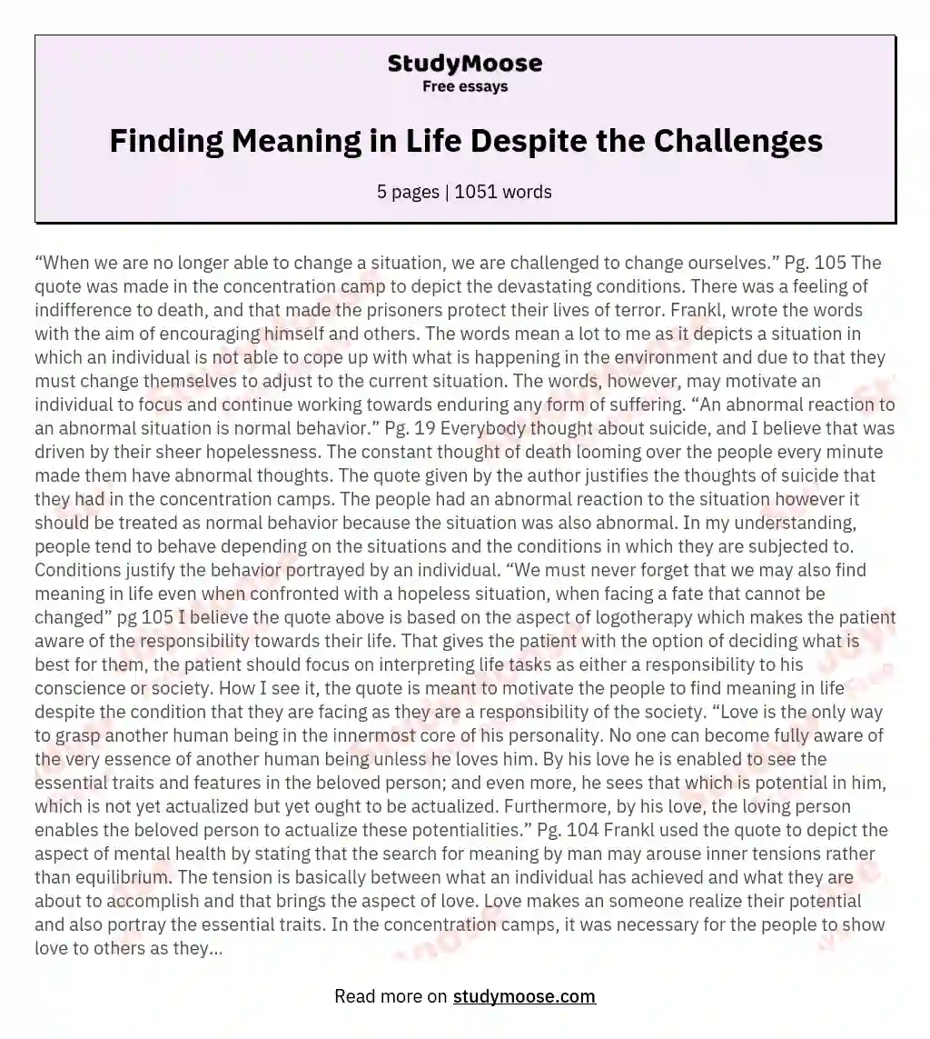 Finding Meaning in Life Despite the Challenges essay