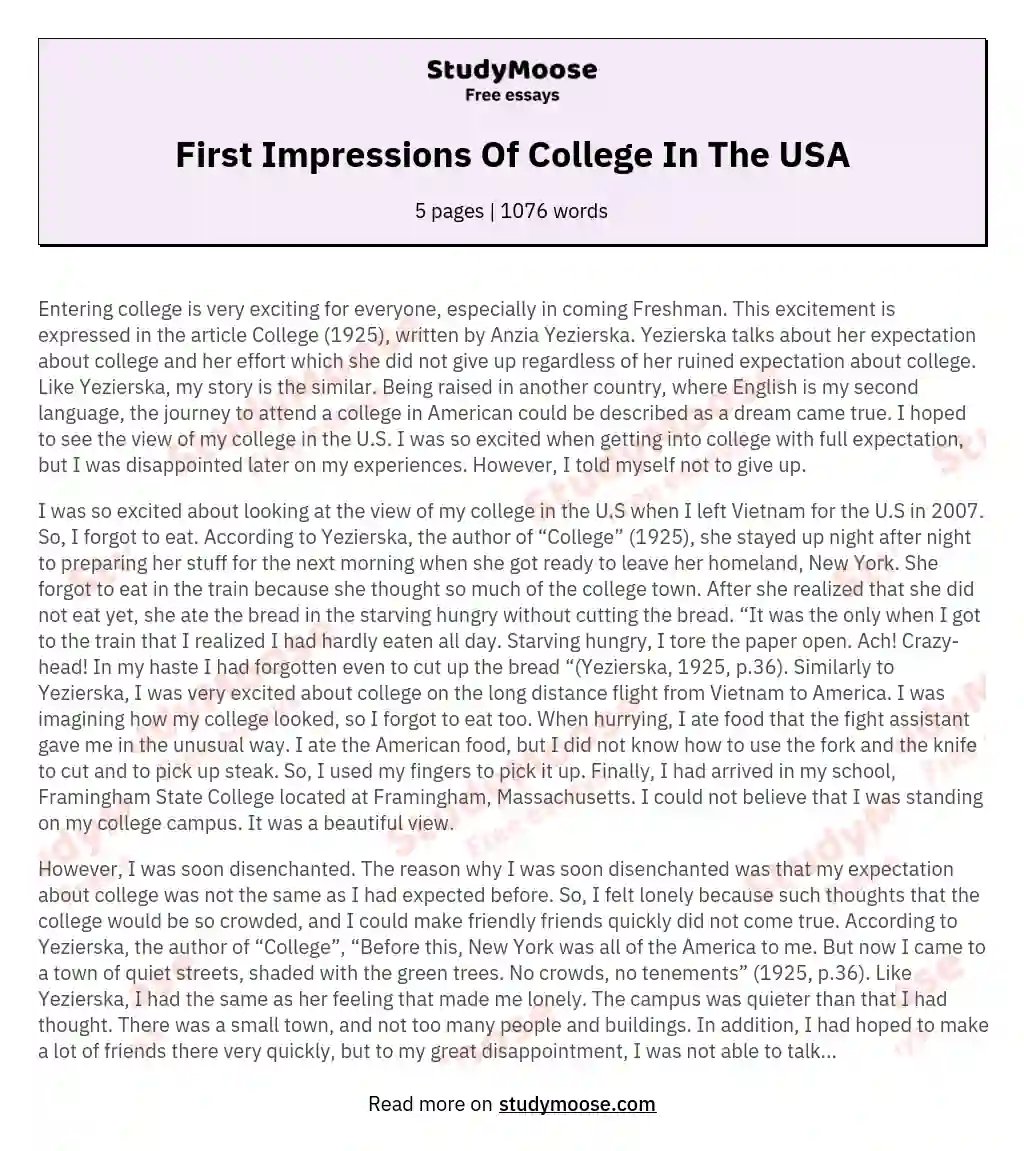 First Impressions Of College In The USA essay