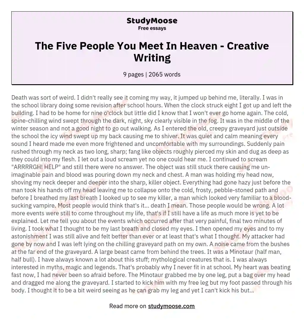 The Five People You Meet In Heaven - Creative Writing essay